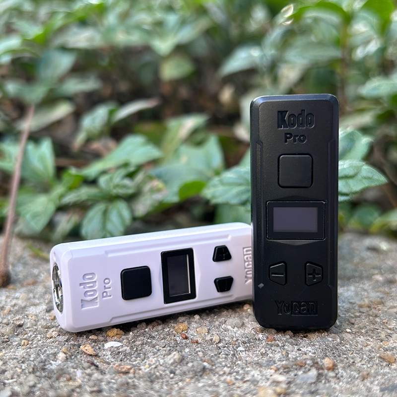 Two small Yocan Kodo Pro Batteries sitting on the ground would be replaced as follows:
Sentence: Two small Yocan Kodo Pro Battery sitting on the ground.