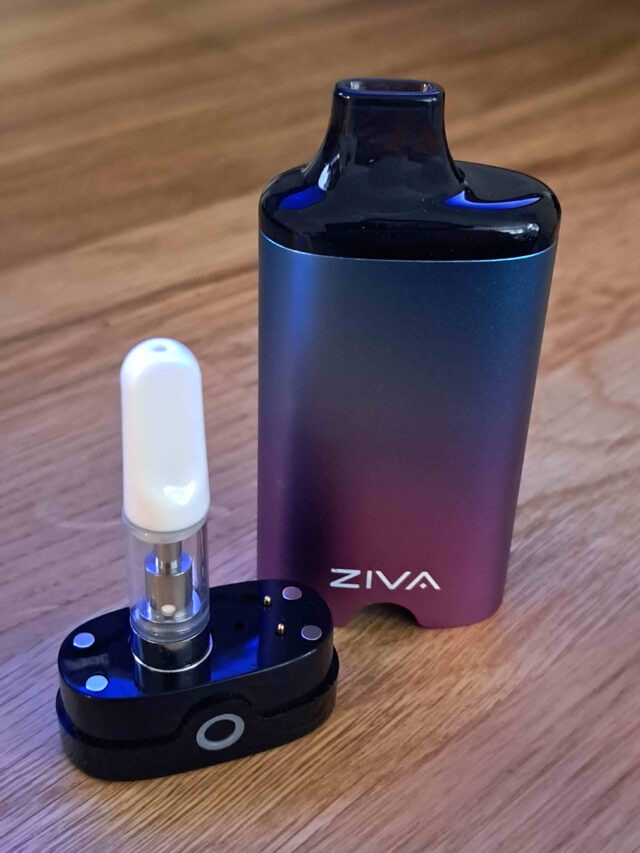 Pennjamin The Penjamin Cart Pen UK Vape Carts
